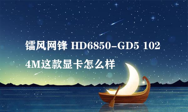 镭风网锋 HD6850-GD5 1024M这款显卡怎么样