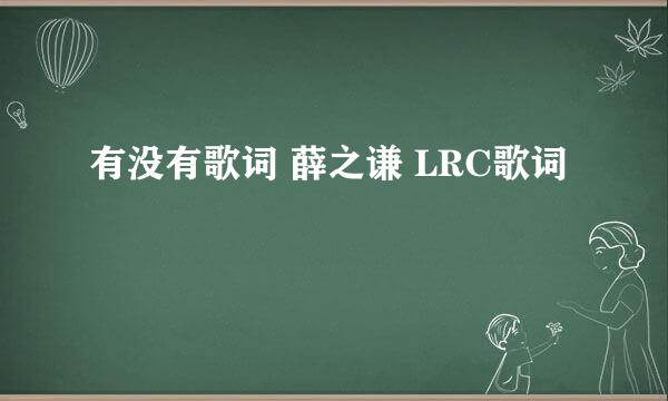 有没有歌词 薛之谦 LRC歌词