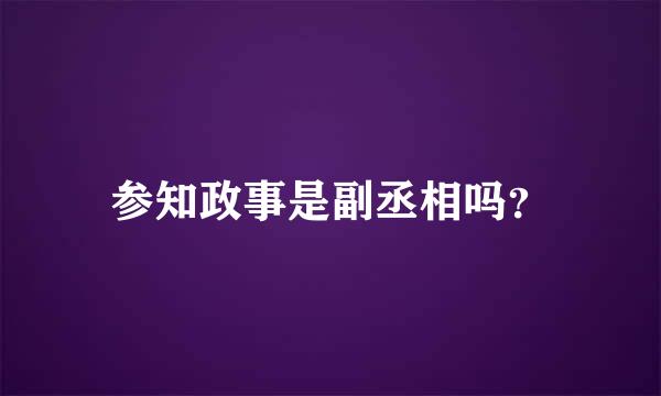 参知政事是副丞相吗？