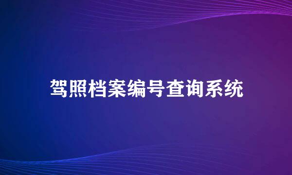 驾照档案编号查询系统