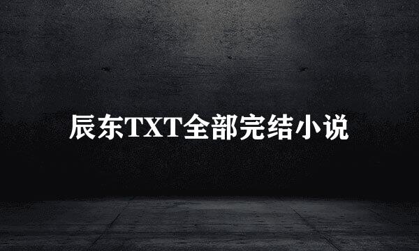 辰东TXT全部完结小说