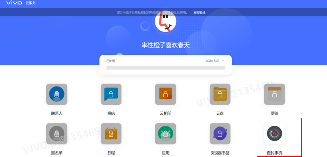 在哪里进入vivo手机查找手机的页面？