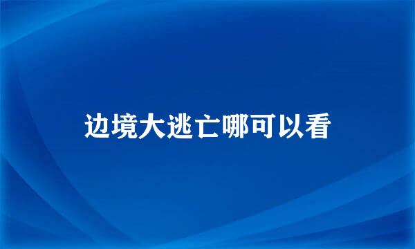 边境大逃亡哪可以看