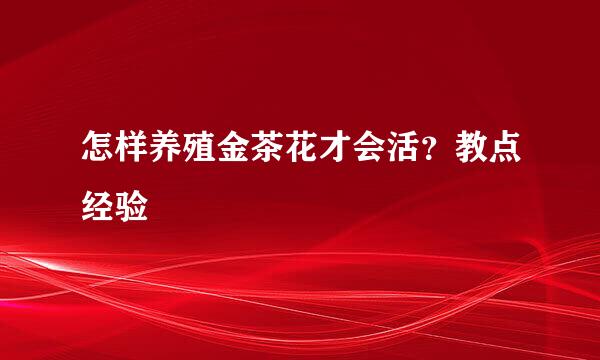 怎样养殖金茶花才会活？教点经验