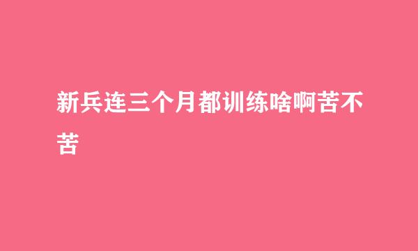 新兵连三个月都训练啥啊苦不苦