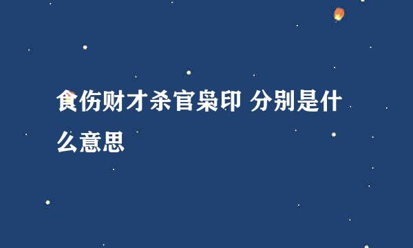 食伤财才杀官枭印 分别是什么意思