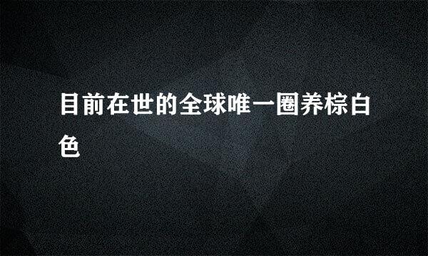 目前在世的全球唯一圈养棕白色