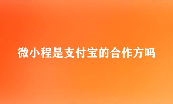 微小程是支付宝的合作方吗