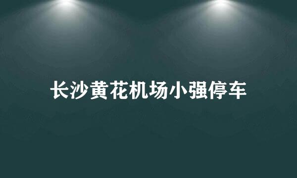 长沙黄花机场小强停车