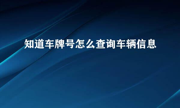 知道车牌号怎么查询车辆信息