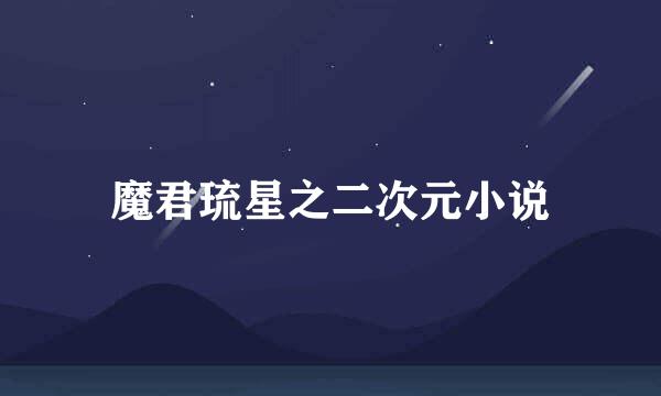 魔君琉星之二次元小说