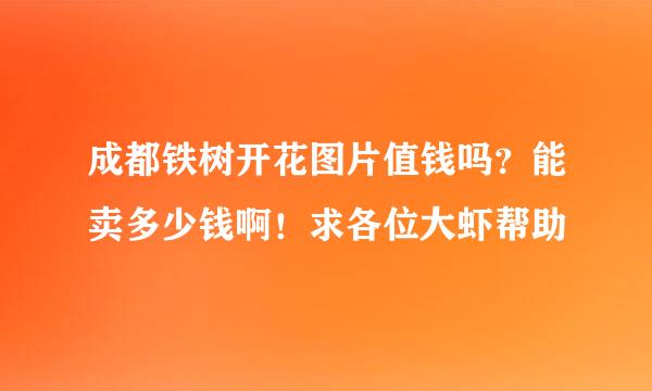 成都铁树开花图片值钱吗？能卖多少钱啊！求各位大虾帮助