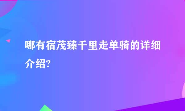 哪有宿茂臻千里走单骑的详细介绍?