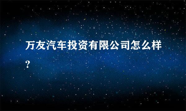 万友汽车投资有限公司怎么样？