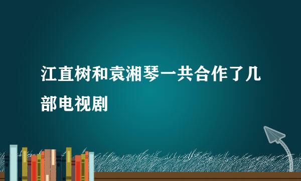 江直树和袁湘琴一共合作了几部电视剧