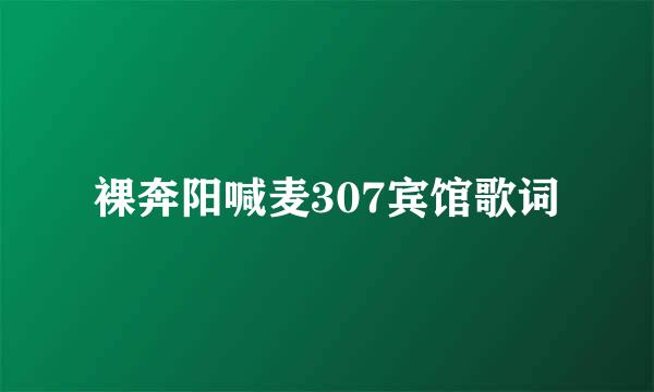 裸奔阳喊麦307宾馆歌词