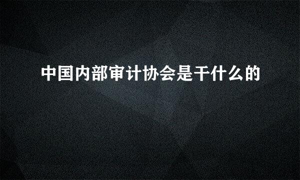 中国内部审计协会是干什么的