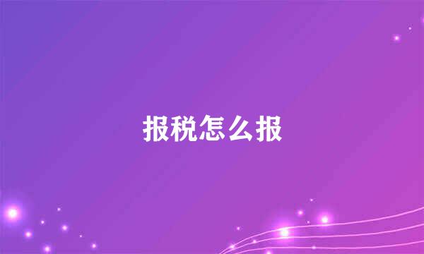 报税怎么报