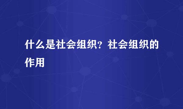 什么是社会组织？社会组织的作用