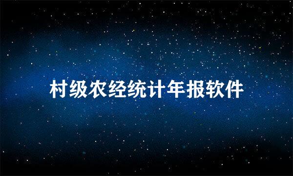 村级农经统计年报软件