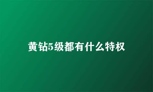 黄钻5级都有什么特权