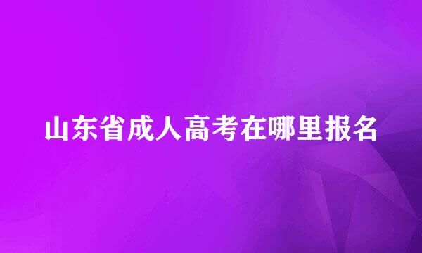 山东省成人高考在哪里报名