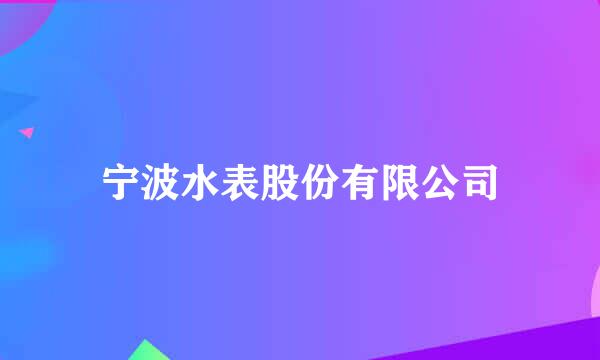 宁波水表股份有限公司