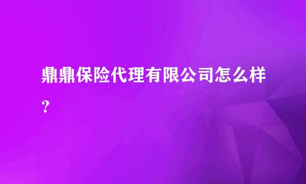 鼎鼎保险代理有限公司怎么样？