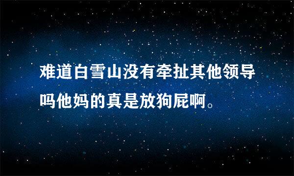 难道白雪山没有牵扯其他领导吗他妈的真是放狗屁啊。