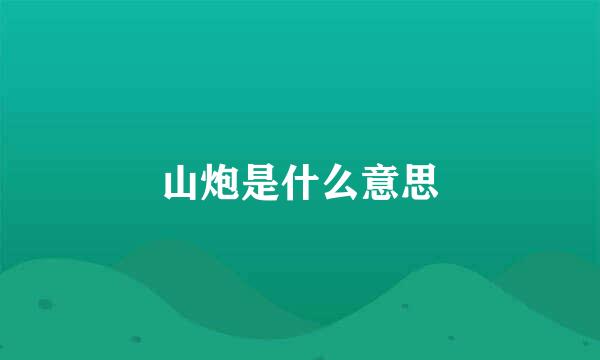 山炮是什么意思