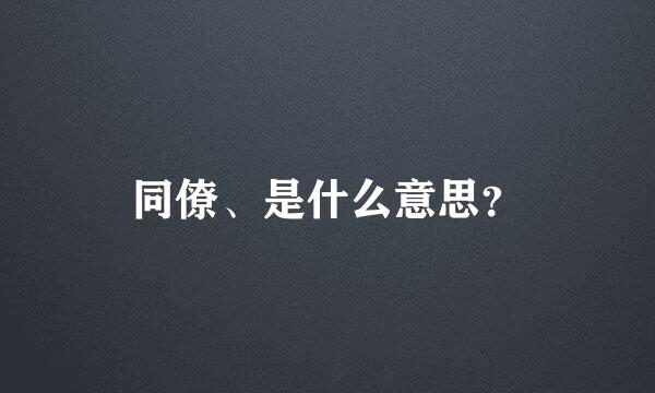 同僚、是什么意思？