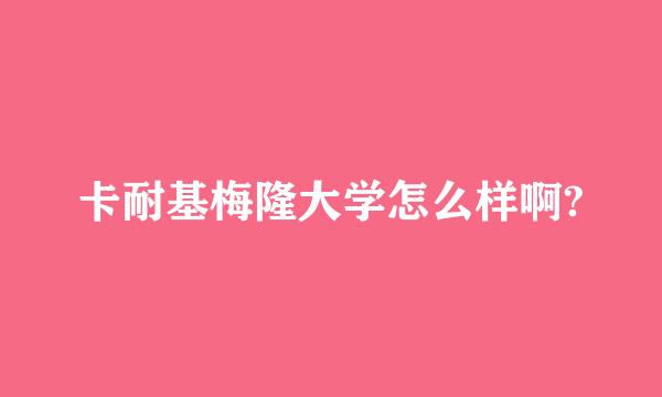 卡耐基梅隆大学怎么样啊?