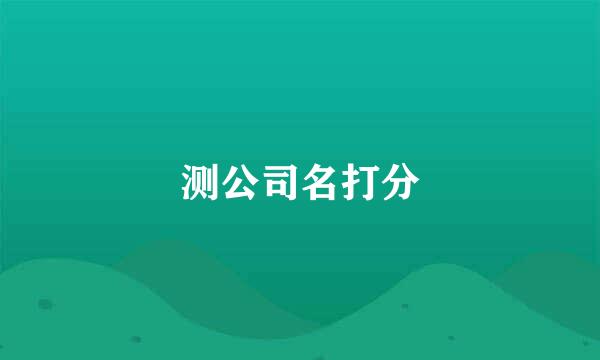 测公司名打分