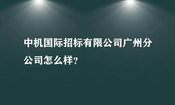 中机国际招标有限公司广州分公司怎么样？