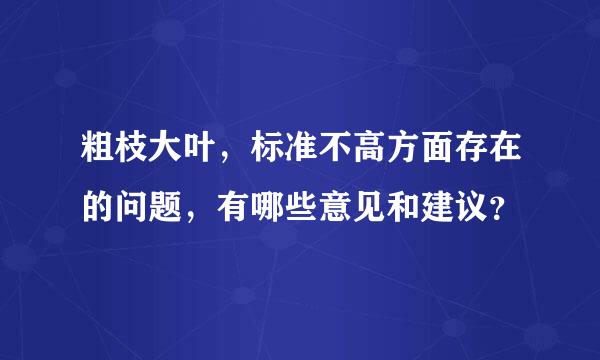 粗枝大叶，标准不高方面存在的问题，有哪些意见和建议？