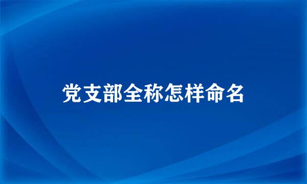 党支部全称怎样命名