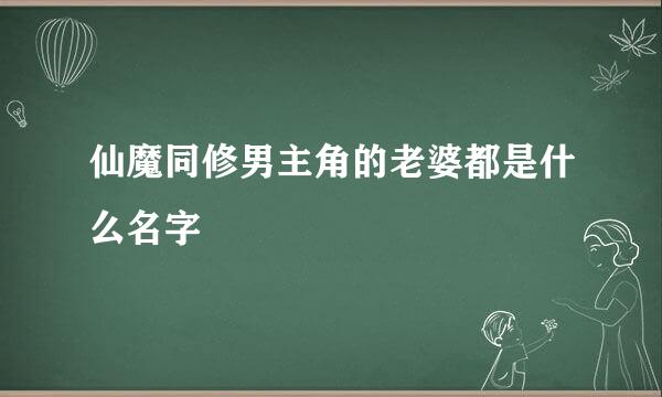 仙魔同修男主角的老婆都是什么名字