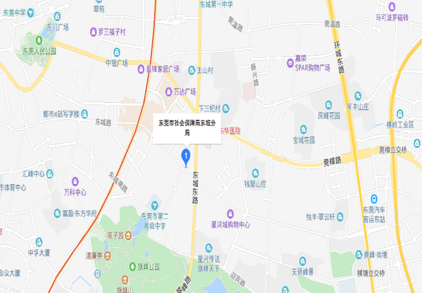 东莞东城社保局地点