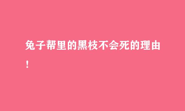 兔子帮里的黑枝不会死的理由！