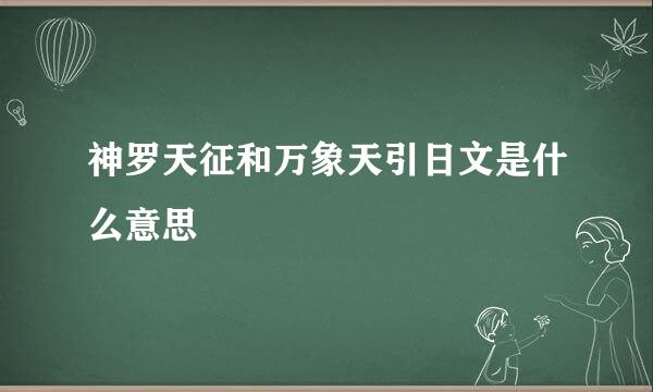 神罗天征和万象天引日文是什么意思