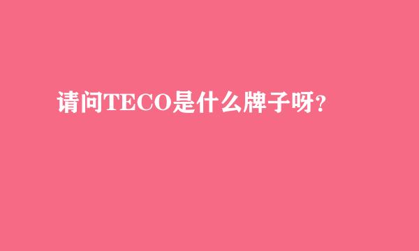 请问TECO是什么牌子呀？