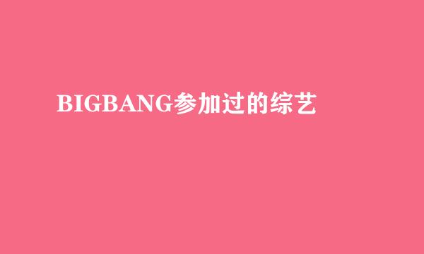 BIGBANG参加过的综艺