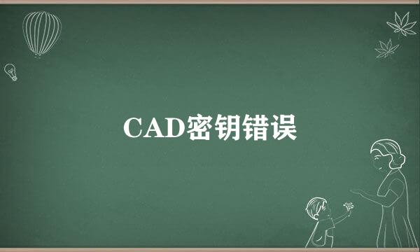 CAD密钥错误