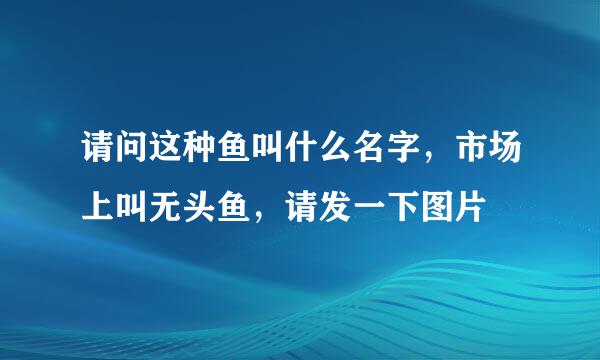 请问这种鱼叫什么名字，市场上叫无头鱼，请发一下图片