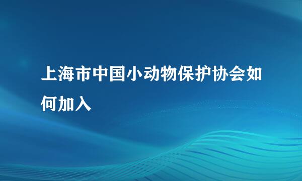 上海市中国小动物保护协会如何加入