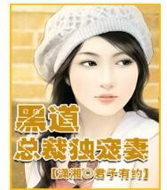 求类似《黑道总裁独宠妻》《黑道总裁的爱人》的小说