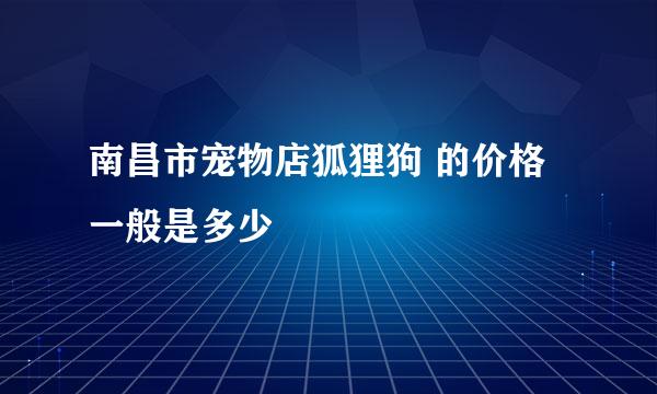 南昌市宠物店狐狸狗 的价格一般是多少