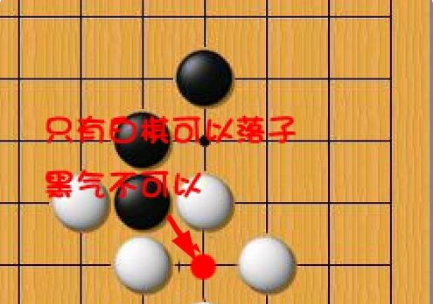 怎样入门围棋？