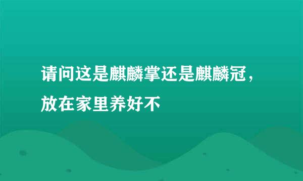 请问这是麒麟掌还是麒麟冠，放在家里养好不