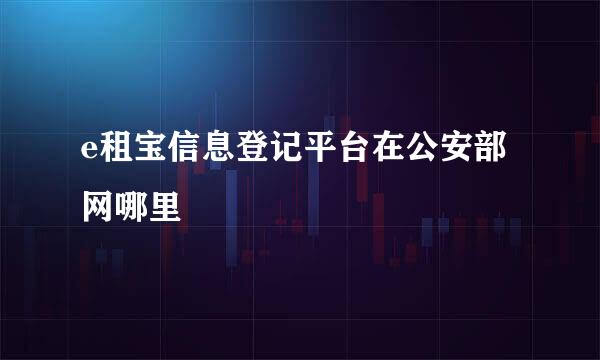 e租宝信息登记平台在公安部网哪里